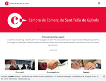 Tablet Screenshot of cambrastfeliu.com